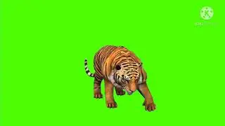 Green screen background O Lion || green screen video || lion green screen Il green screen lion 2021