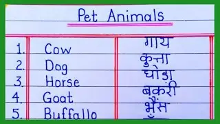 20 Pet Animals Name Hindi and English | पालतू जानवरों के नाम || pet Animals Name| The kituu world