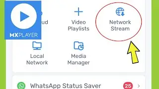 What is Network Stream in Mx Player ?