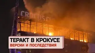 Теракт в Крокусе: рассказы очевидцев, кто исполнители и заказчики? Версии и последствия. Разбор