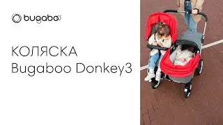 ОБЗОР КОЛЯСКИ Bugaboo 2 в 1 Donkey 3