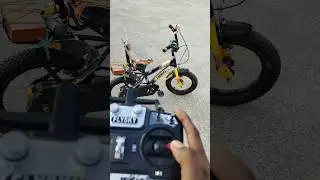 Remote Control RC Bicycle 