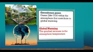 Gr12 Economics(P2) : Environmental Sustainability