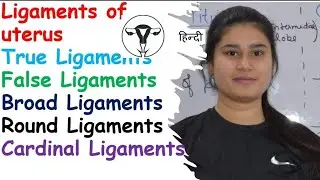 Ligaments of Uterus | True Ligaments | False Ligaments | Broad Ligaments | Round Ligaments