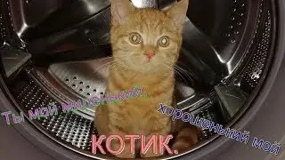 Ты мой миленький, хорошенький, мой котик!//Песенка про кота!