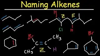 Naming Alkenes, IUPAC Nomenclature Practice, Substituent, E Z System, Cycloalkenes Organic Chemistry