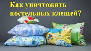 Постельные клещи. Как от них избавиться.