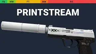 USP-S Printstream - Skin Float And Wear Preview