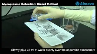 Mycoplasma Detection: Direct Method