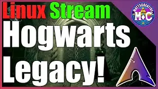 Linux Gaming Stream | Hogwarts Legacy | Arch Linux | Gnome 47 |