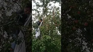 Ого! Какие чудеса! Всем привет дорогие друзья!