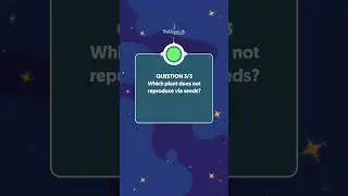 Curious Quiz Time: Plant Reproduction 