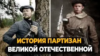 ИСТОРИЯ ПАРТИЗАНСКОГО ДВИЖЕНИЯ В ГОДЫ ВЕЛИКОЙ ОТЕЧЕСТВЕННОЙ ВОЙНЫ