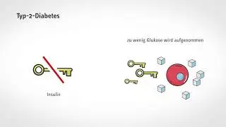 Kurz und verständlich: Was passiert bei Diabetes?