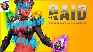 Как правильно начать без доната?  #1  Raid: Shadow Legends