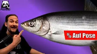 Russian Fishing 4 - Ladogasee - Silber + Prozente: Posen angeln