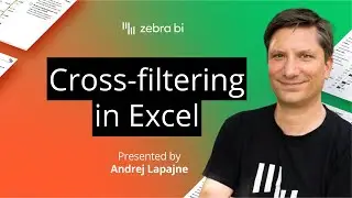 👉 Zebra BI for Office 2.0: Revolutionize Excel Reporting with Cross-Filtering