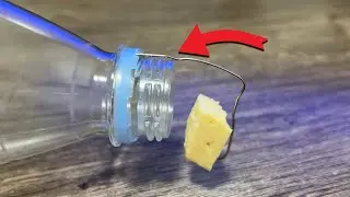 Cool homemade product. DIY mousetrap from a bottle