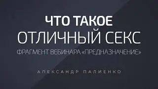 Что такое отличный секс. Александр Палиенко.