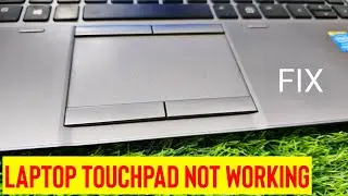 Fix Laptop Touchpad Not Working | Mouse Pointer Not Moving