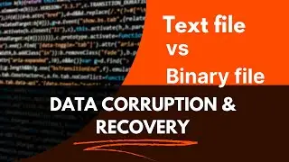 Text File  vs Binary File: Data Corruption & Recovery