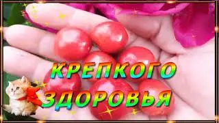 "СЕГОДНЯ  И  ВСЕГДА, Я ТЕБЕ ЖЕЛАЮ СЧАСТЬЯ!"  Красивое музыкальное видео!