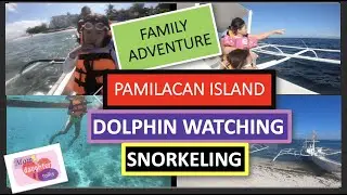 WHITE BEACH PAMILACAN ISLAND, DOLPHIN WATCHING, SNORKELING AT THE FISH SANCTUARY