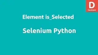 Selenium Python Element is_Selected