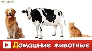[ ДОМАШНИЕ ЖИВОТНЫЕ для ДЕТЕЙ ] с ГОЛОСАМИ. Развивающие ВИДЕО про животных для детей в HD