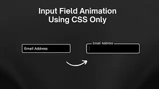 Input Field Animation Using CSS Only | Input Label Animation CSS | Form Input Animation HTML & CSS