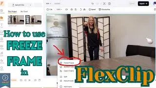 How to Use Freeze Frame in FlexClip