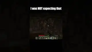 I was NOT expecting that  #minecraft #gaming #minecraftbuilding #funny #lastlife #grian