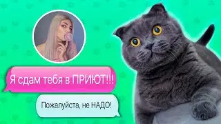 ПЕРЕПИСКА С ФЕЙКОМ | ЗЛАЯ ХОЗЯЙКА ХОЧЕТ СДАТЬ КОТИКА И ПЕСИКА В ПРИЮТ ! ПИТОМЦЫ ПРОТИВ!