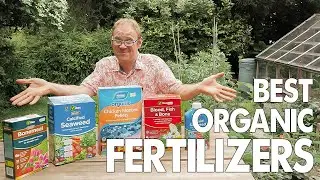 Which Organic Fertilizers Work Best?  The Top 5 Reviewed 🏆