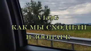 .°•Vlog - Как мы сходили в зоопарк•°.