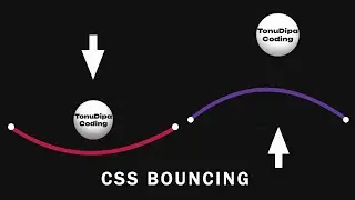 CSS Bouncing Animation Effects @tonudipacoding