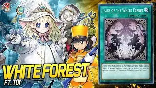 White Forest ft. Toy | EDOPRO | Replays 🎮 + Decklist ✔️