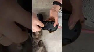 Мышь на радиоуправлении 🙀 интерактивная игрушка для кота 😻