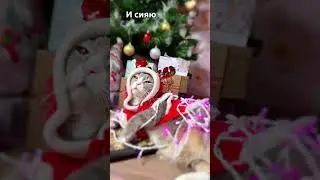 Всем привет, ребята | ￼ уже слышен бой курантов | 