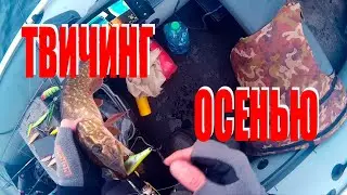 ТВИЧИНГ осенью/Твичинг для новичков/Рыбалка на озере в Беларуси