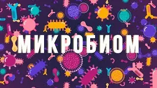 Короче говоря: МИР внутри нас- Микробиом