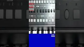 Как быстро освоить синтезатор ⭐ SHIFT + PAD combination KORG Pa900~manual