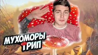 4 ГОДА НАЗАД Я ВПЕРВЫЕ ПОПРОБОВАЛ МУХОМОР! | МНЕНИЕ ТОГДА И СЕЙЧАС | МИКРОДОЗИНГ ИЛИ... 💊