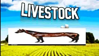 LIVESTOCK - Friday Night Funkin' OC Concept