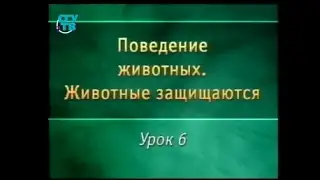 Животные защищаются. Урок 6. Химическое оружие животных