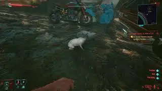 Underwater Cat in Cyberpunk 2077