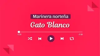 GATO BLANCO | Marinera Norteña con Banda 🎺