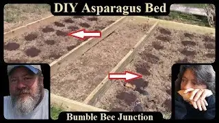 Building A Raised Asparagus Bed | Gardening Project | How To DIY