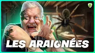 LES ARAIGNÉES DES MAISONS : 4 Araignées formidables DANS votre maison !