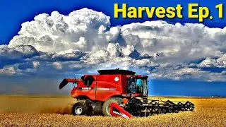 It's BIG It's HERE Let's GO! Harvest 2020